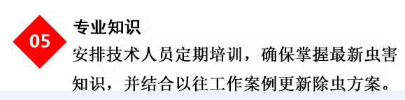 专业杀虫公司
