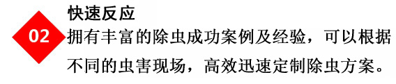 专业灭鼠公司的杀虫灭鼠技术人员提供快速消服务杀服务